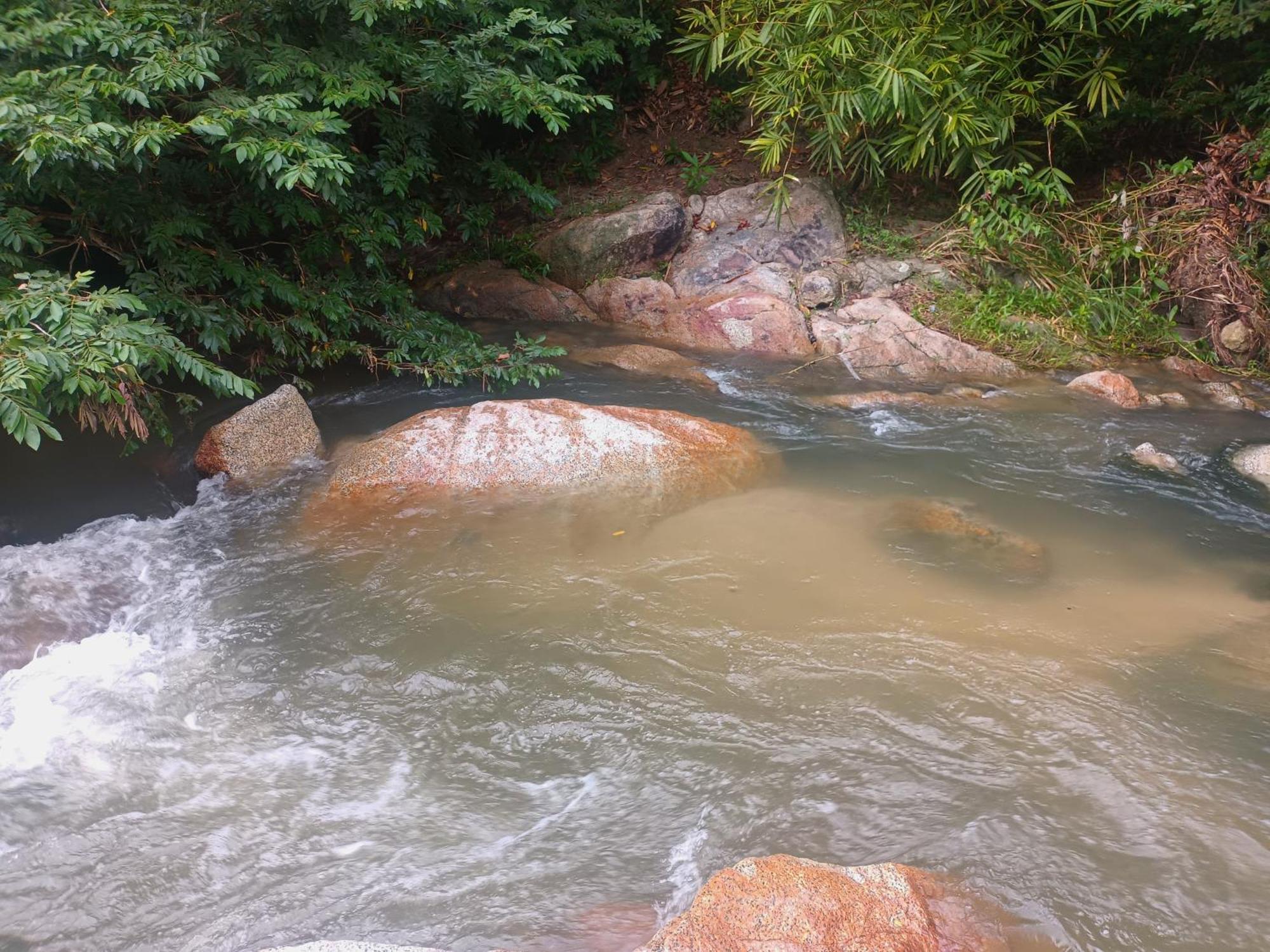 Sierra Tayrona Hostel El Zaino Bagian luar foto