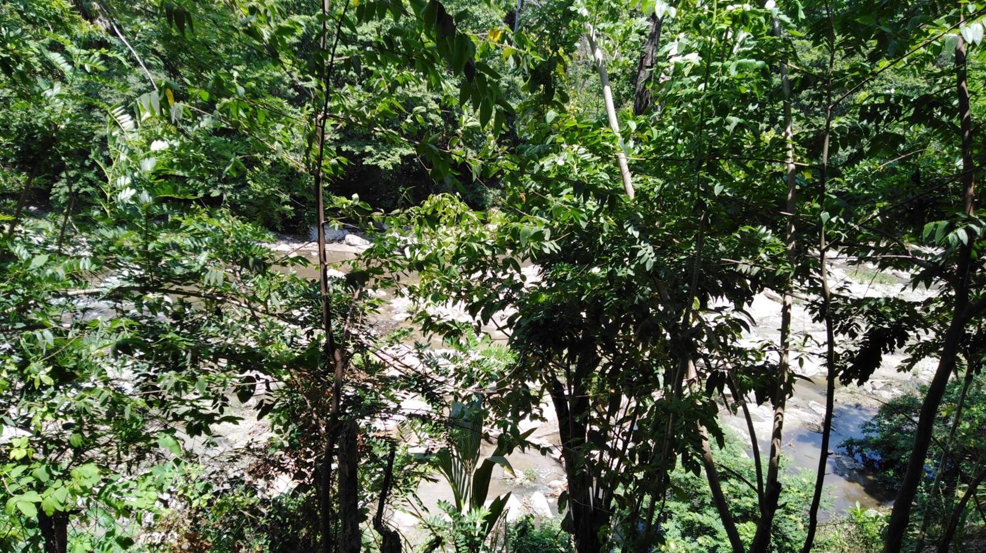 Sierra Tayrona Hostel El Zaino Bagian luar foto