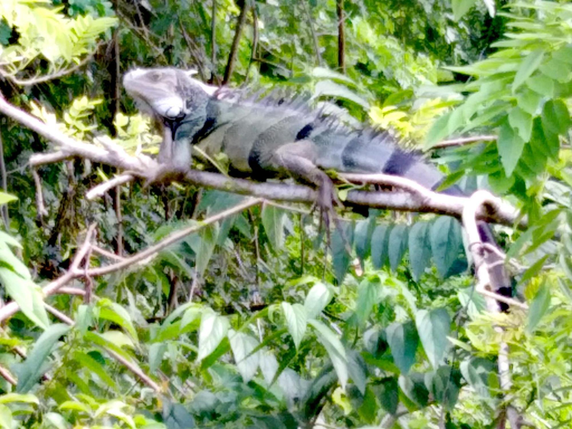 Sierra Tayrona Hostel El Zaino Bagian luar foto