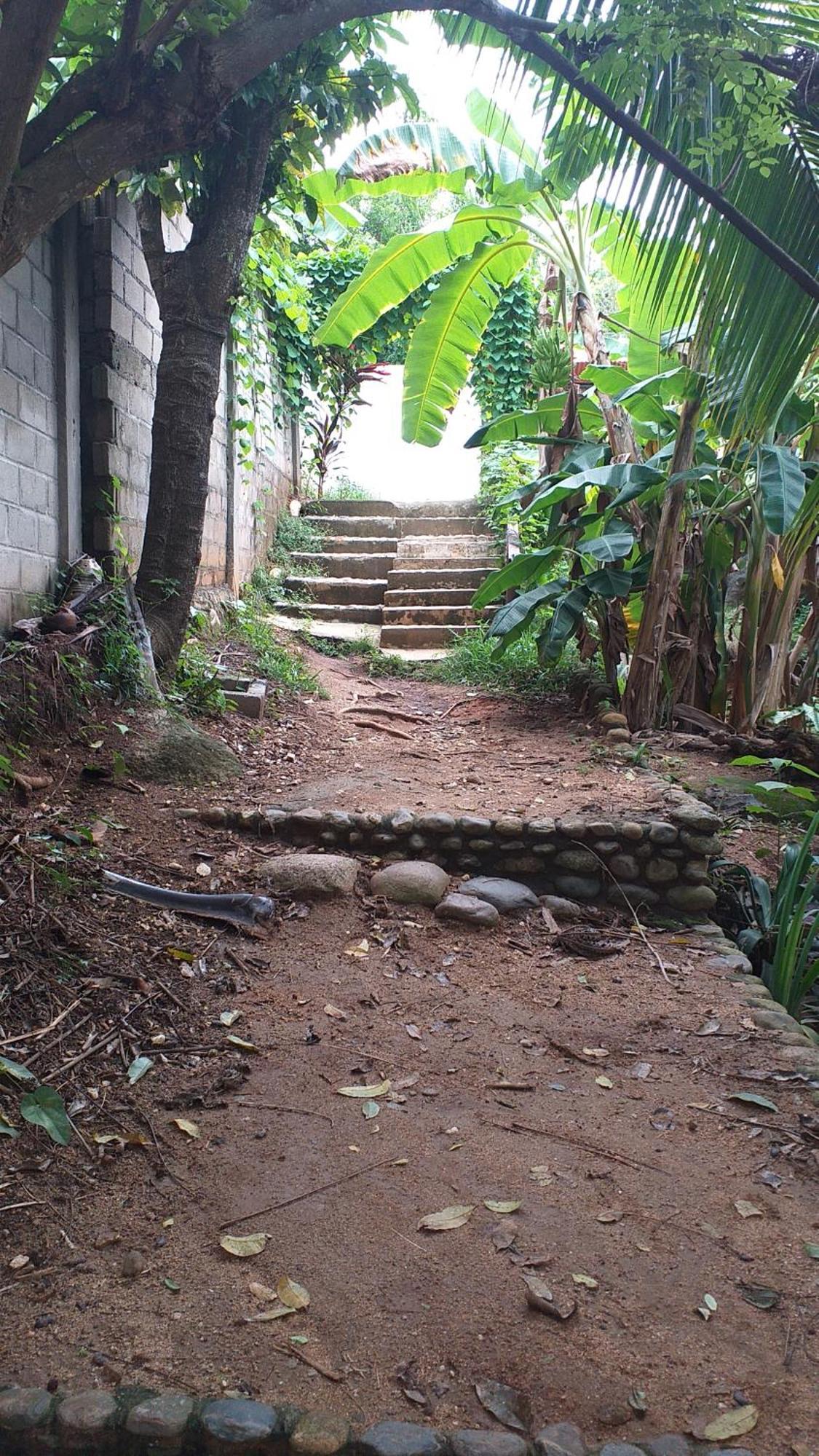 Sierra Tayrona Hostel El Zaino Bagian luar foto
