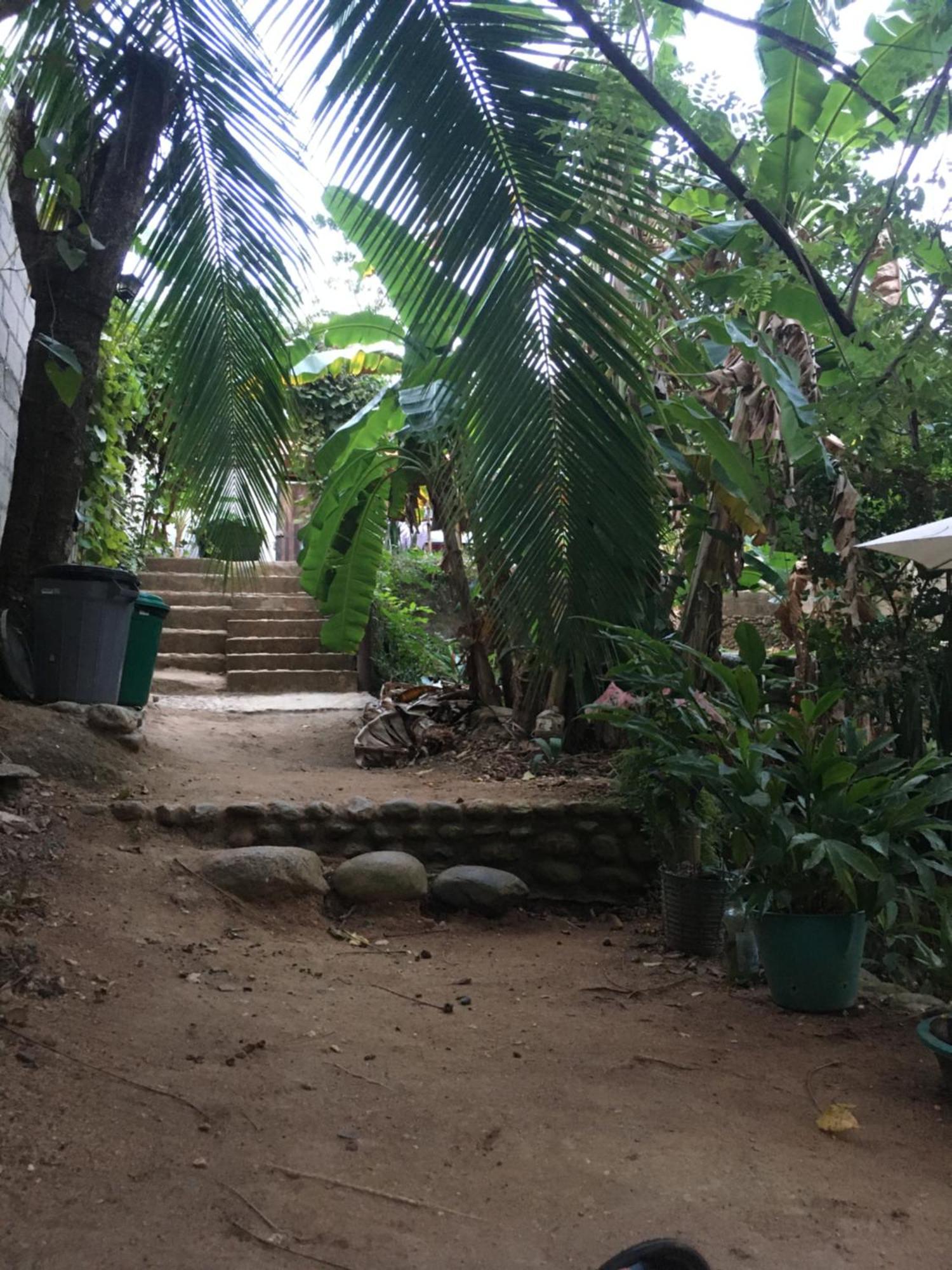 Sierra Tayrona Hostel El Zaino Bagian luar foto